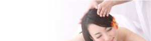 menubanner_headrefresh2